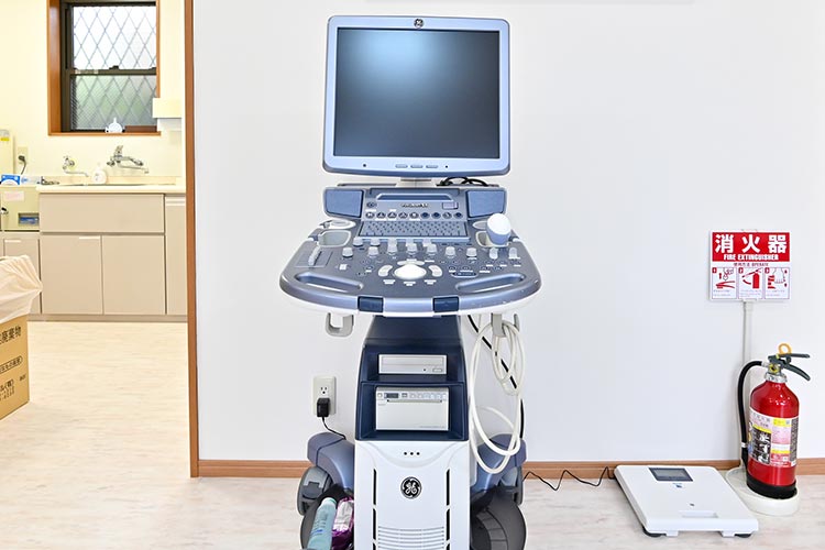 超音波診断装置<!--（4Dエコー）-->